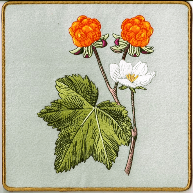 Hovedbilde Gryteunderlag Multe 20x20 cm