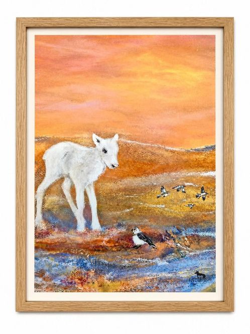 Hovedbilde Poster Vit renkalv 21x30 cm