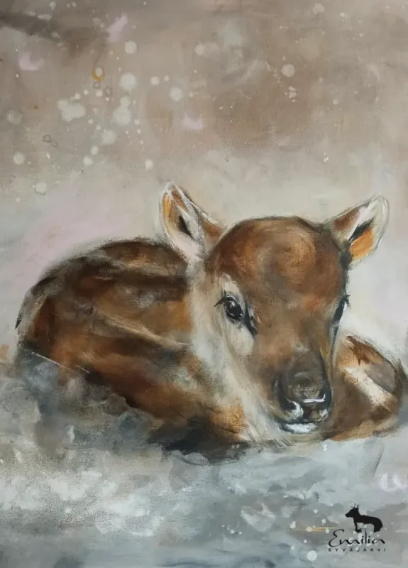 Poster Liggande kalv 50x70 cm