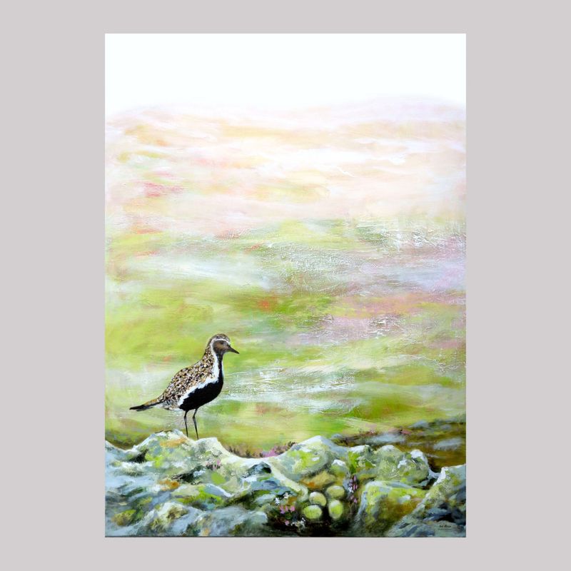 Poster Vårfugle 50x70 cm